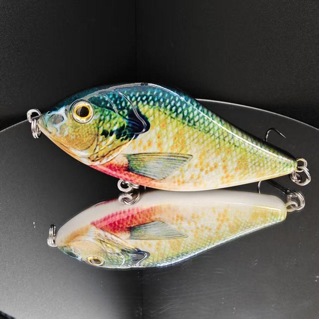 10cm 45g Sinking Pike Jerkbait – The Ultimate Predator Lure,Suitable for Both Saltwater and Freshwater