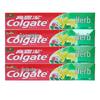 Herbal Toothpaste Gum Care Fresh Breath