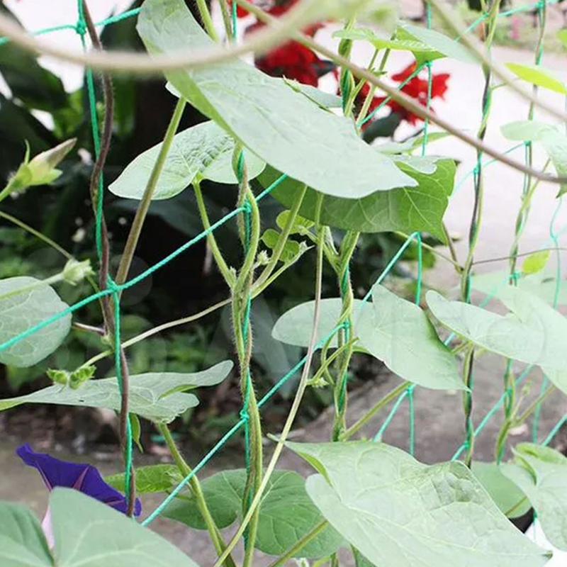 Rete da Arrampicata per Piante a 9 Fili per Cetrioli, Rampicanti, Frutta, Verdura, Rete da Supporto Durevole in Nylon