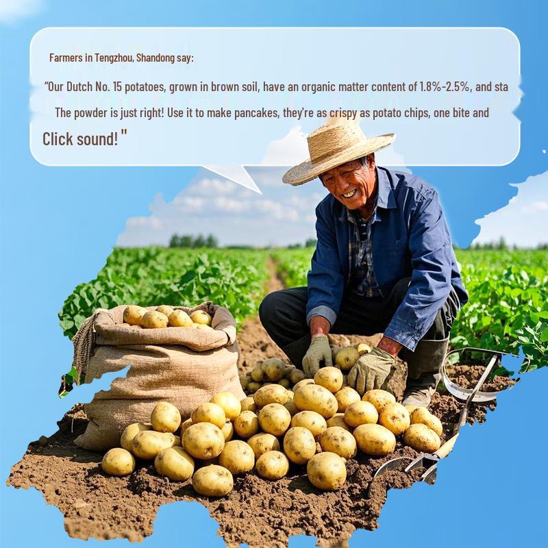 Bestore Crispy Snacks