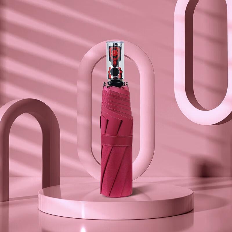 

Fully Automatic Reverse Folding Windproof Umbrella