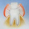 Home Massage Three-head Toothbrush All-round Toothbrush Three-sided Toothbrush Oral Cleaning Soft Toothbrush
