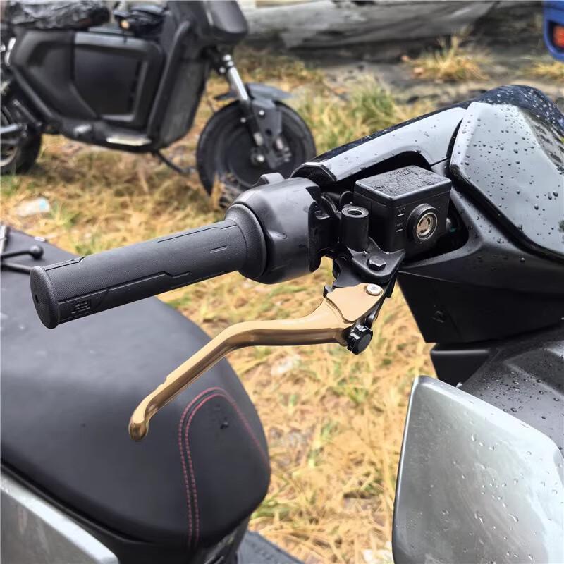Moli Aluminum Alloy Electric Motorcycle Brake Lever