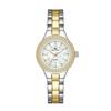 European Fashion Watch Women Luxury Brand BS Quartz Wristwatch Reloj Mujer Casual Stainless Steel Ladies Clock