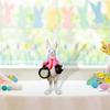 Clock Statue Animal Pocket Watch Sculpture Tabletop Ornament Decorative Artwork Bunny Figurine for