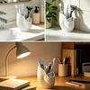 3 Slot Nautilus Toothbrush Holder Ocean Style Aesthetic Toothpaste Storage Shelf 3D Printed Plastic Makeup Brush Organizer