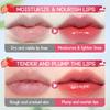 Fruit Sandwich Thermochromer Lippenbalsam Feuchtigkeitsspendender und feuchtigkeitsspendender thermochromer Lippenbalsam