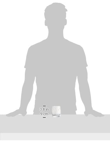 [Officially Imported] Wedgwood Promise Two Hearts Tumbler Pair 58310700125