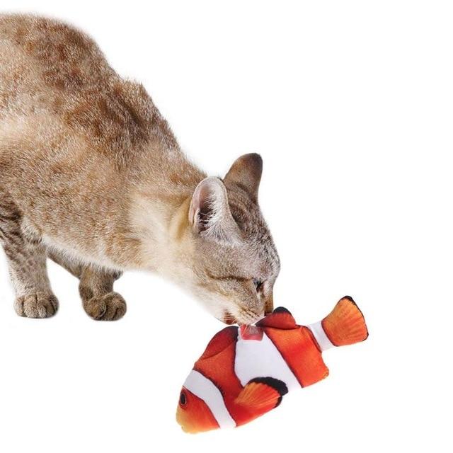 cat playing with toy