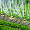 Corrosion Resistant 360° Rotating Sprinkler Ground Insert Watering Nozzle  Landscaping