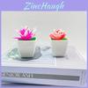 Artificial Succulent Plant Miniature Garden Decorative Pot For Home Office Desk Decor