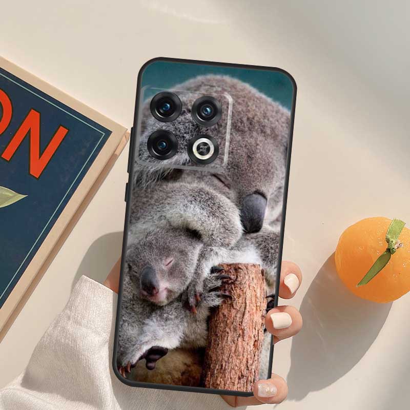 Australisches Koala-Case Für OnePlus 12R 13R 13T 10R 15 13 12 11 10T 8T Nord CE 4 3 2 Lite N20 N30 Nord 5 Hülle
