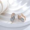 Mode Ethnische Muster Damen Ohrringe Roségold Farbe Mix Natürlicher Zirkon Englische Ohrringe Täglicher Feinschmuck