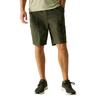 Regatta Professional Mens Arlery Shorts