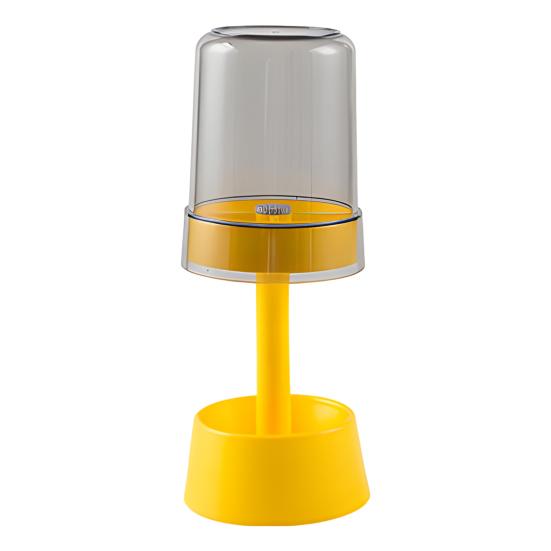 Travel Toothbrush Cup Storage Holder with 3 Slots Dustproof Compact Portable Bathroom Toothbrush Toothpaste Storage Rack