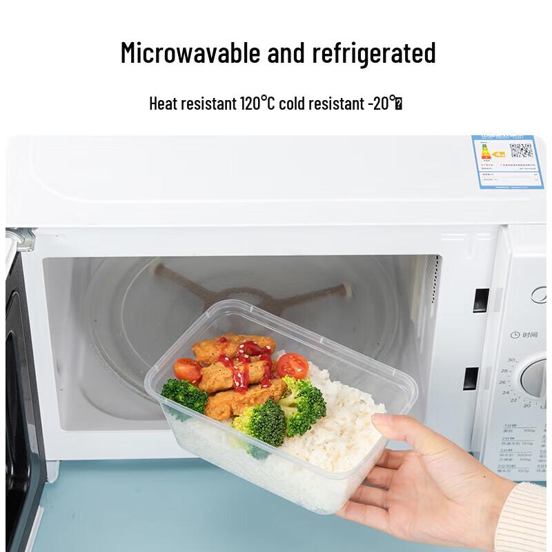 Disposable Rectangular Plastic Takeaway Boxes with Lids