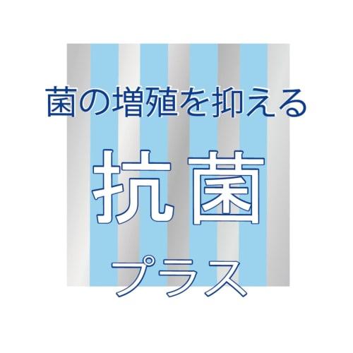 MA Packaging Side Dish Cups, Antibacterial, Deep Side Dish Container, Square, Small, Clover Design, Secure Dividers, Made in Japan