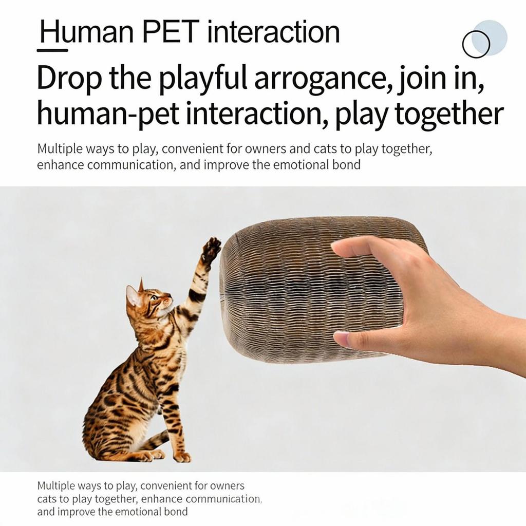 Kratzspielzeug für Wohnungskatzen Kurlz Organ Kratzbrett, Kratzbrett aus Karton, Kratzmatte mit Ball