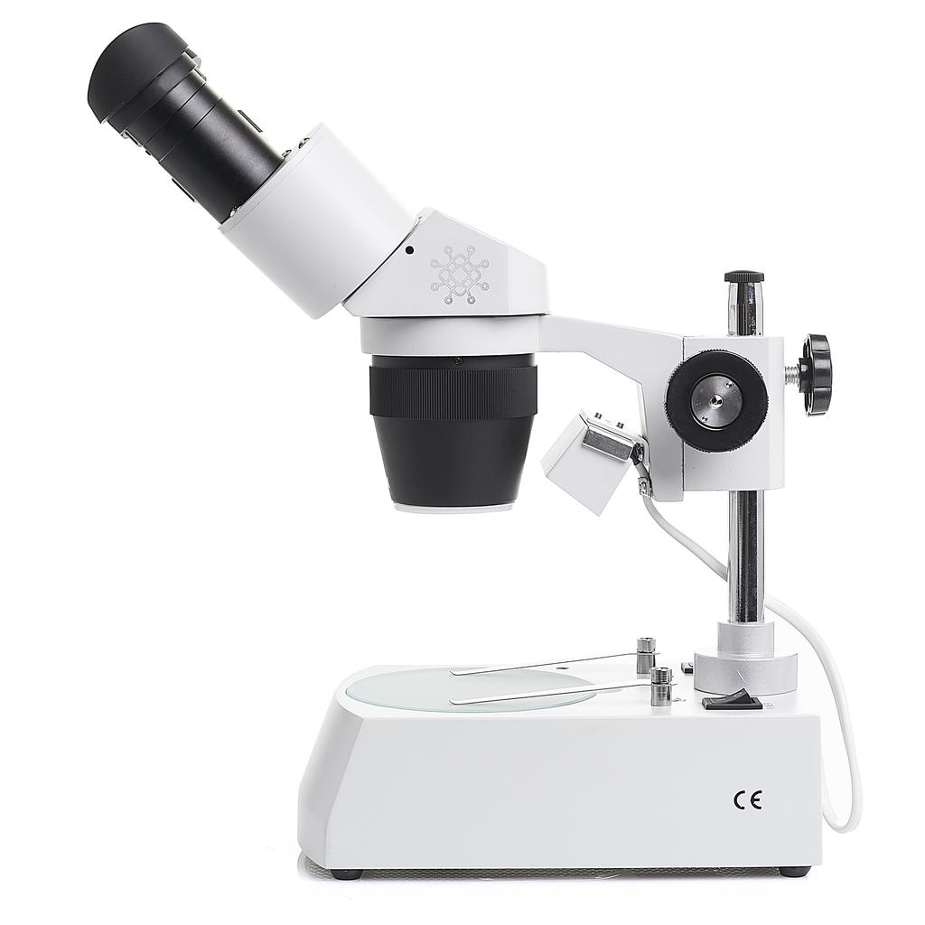 Binocular Stereo Microscope 20-40X St-4024-2L/11