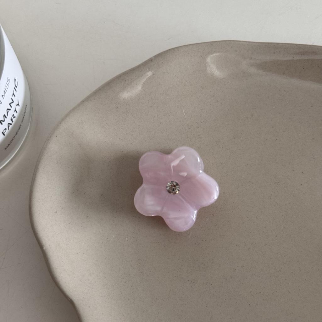 2Pcs Floral Acetic Acid Small Grab Clip Fashion Hairpin Fresh Mini Floral High-end Princess Head Cute Hair Accessory