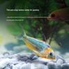 Bainmei Corydoras Sinking Feed: Non-Clouding Food for Catfish and Exotic Aquarium Fish