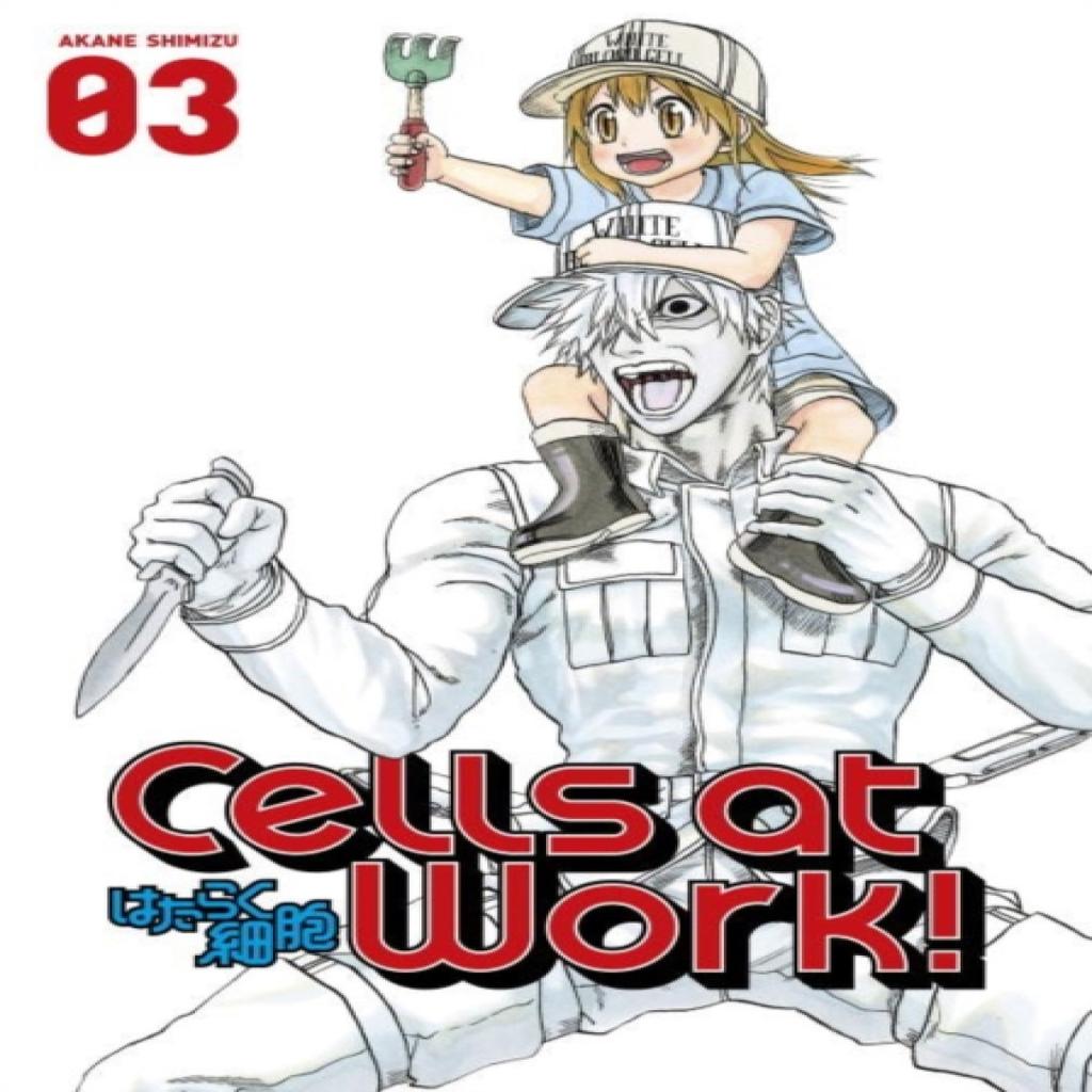 Cells At Work 3 by Akane Shimizu Paperback Book 9781632363909