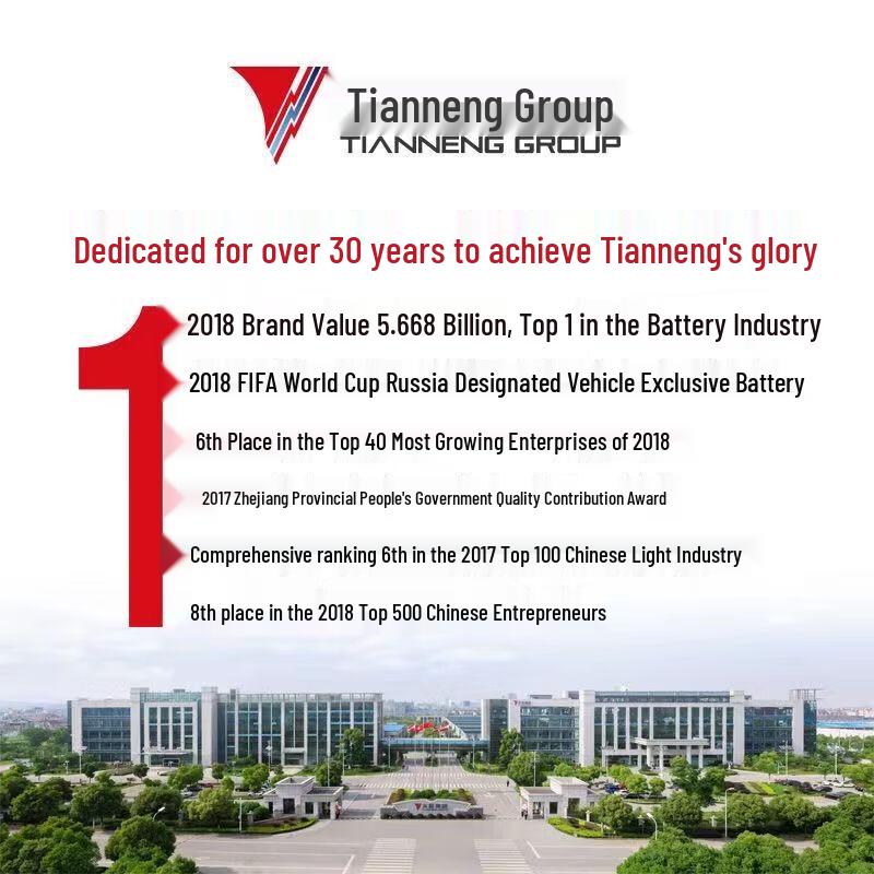 Tianneng 6V 4.5Ah Rechargeable Battery