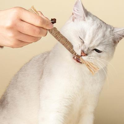 Cat Chew Stick Toy Natural Vine Sticks Dental Health Molar Toy Catnip Treat Toys Teeth Cleaning Stick for Indoor Kittens
