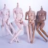 1/6 Collectible Figure Doll Body With Articulated  System And Natural Skin Tone Finish For Display Doll Customization