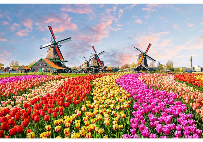 500 Pieces Creative Jigsaw Puzzle Various Landscape Assembling Picture Adults Anti Stress Puzzles Toys For Kids Games Xmas Gift