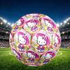 1pc Lovely Cat Soccer Ball, Athletic Standard Football Size 5 Lightweight Sports Match Soccer Ball, Perfect Gift for Sports Enthusiasts