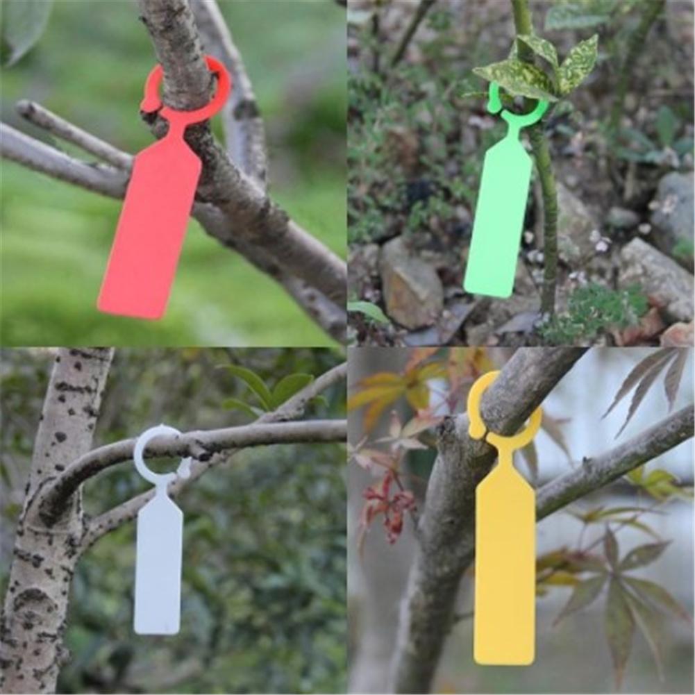 100pcs Plant Tagging Fruit Tag Plastic Hanging Plant Tag Nursery Garden Label Pot Marker