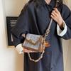 Autumn and Winter New Women's Bags Fashionable Versatile Chain Small Square Bag Single Shoulder Oblique Span Women's Bag