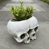Gothic Style Gift Double Skull Flowerpot for Succulents Green Plants, Realistic Resin Planter, Small Pot Plant Halloween Party & Indoor Outdoor