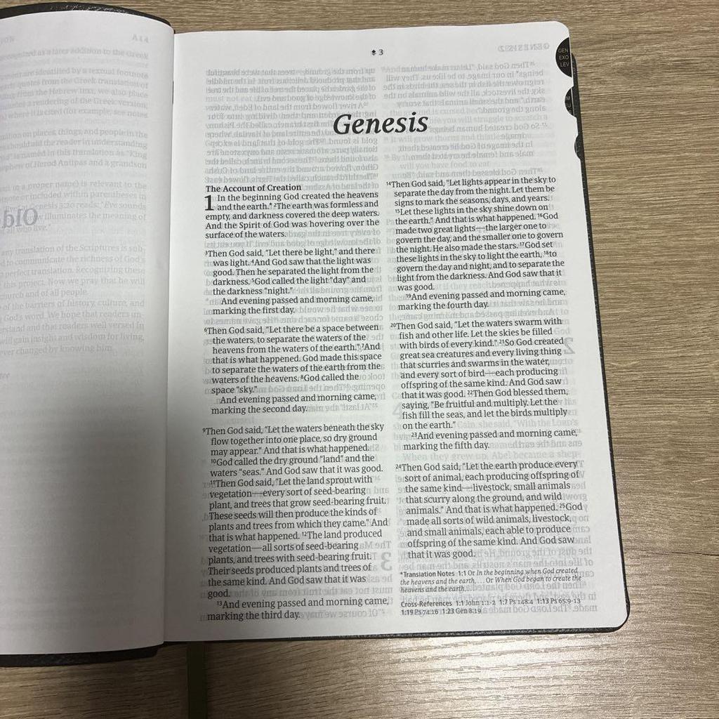 [USED] New Living Translation bible large print