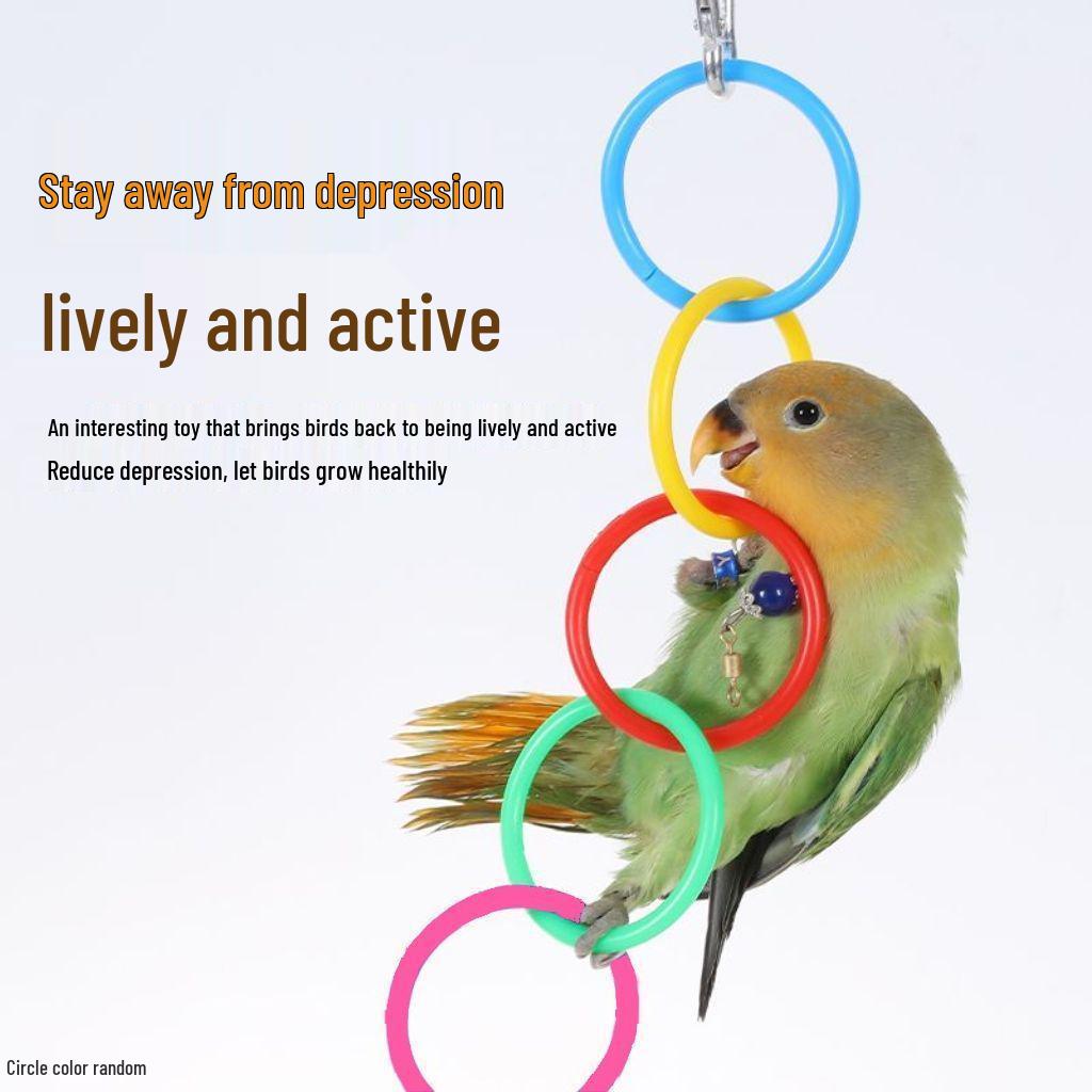 Parrot Entertainment Toy: Hanging Ring, Climbing, Chewable - Ideal for Relieving Boredom, with Free Shipping for New Customers