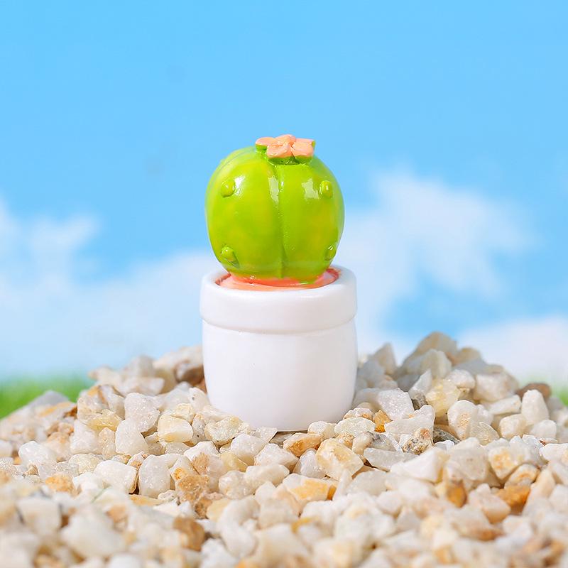 Mini Cactus & Succulent DIY Decor Set for Desktop & Car