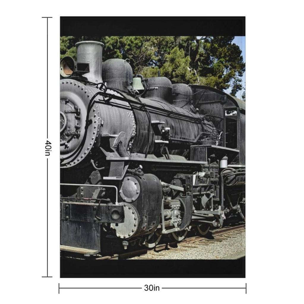 Southern Pacific Railroad Steam Locomotive No. 1273 - Travel Town Railway Museum Throw Blanket Bed Heavy Retros Blankets