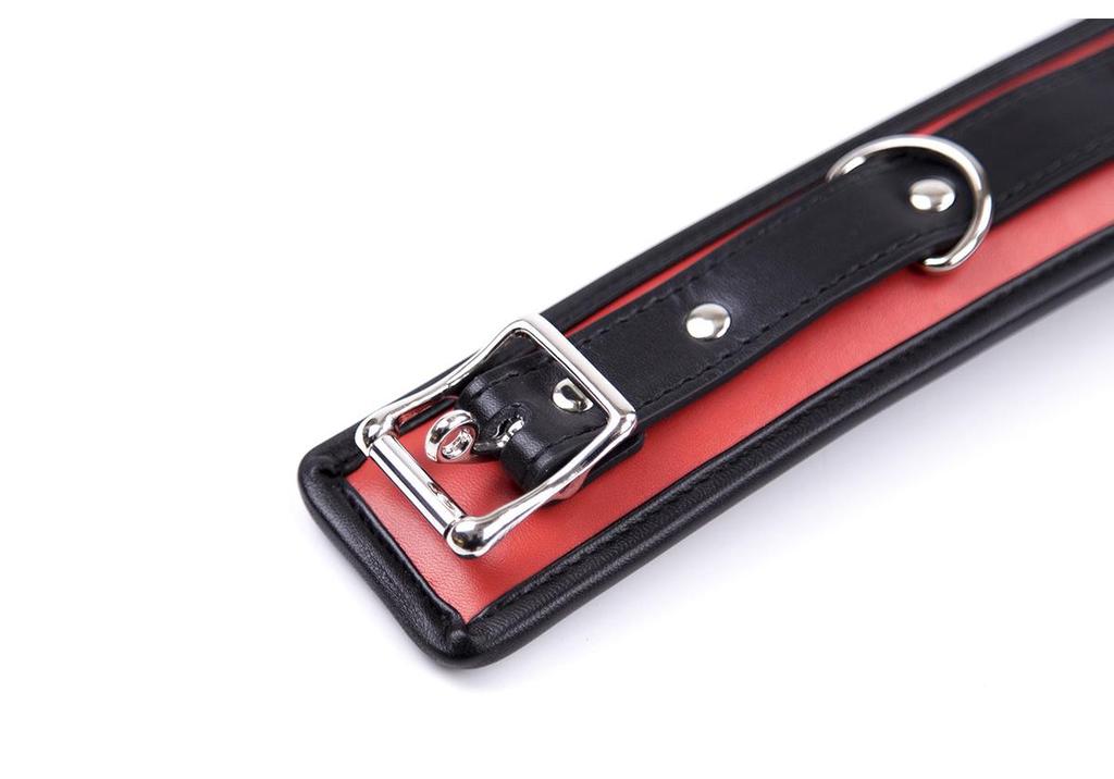 Intimate Adult Neckband & Leash Set