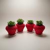 3D Printed Fruit Flower Pot Plastic Flower Container Versatile Planter Holder  Placement Easy