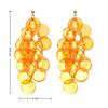 Vacation Style Shell Tassel Drop Earring Jewelry Gift Women's Earrings  Seaside