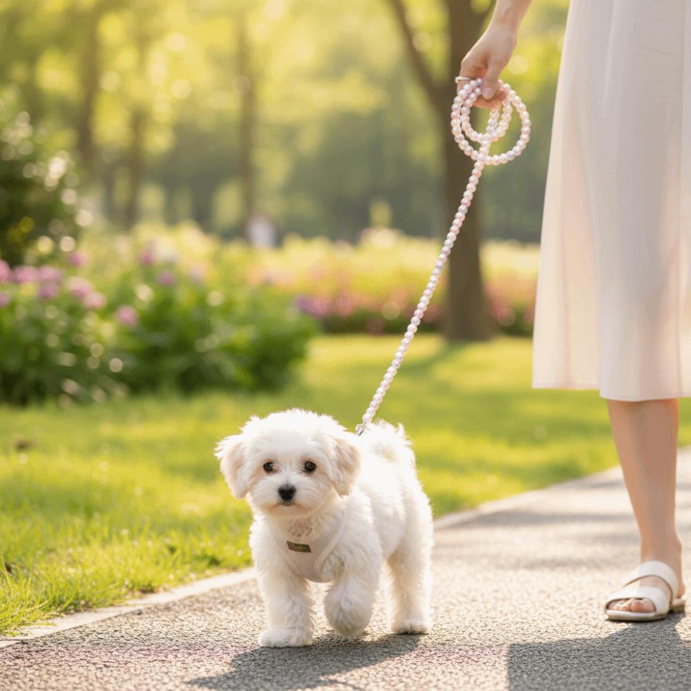 Pearl Beaded Beaded Pet Dog Leash 120cm/4ft Pet Walking Leash  Small Medium Dogs