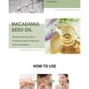 the SKIN HOUSE - Green Tea Collagen Cream