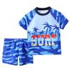 Boys' Two-Piece Quick-Dry Swimsuit with Coconut Tree Cartoon, 2025