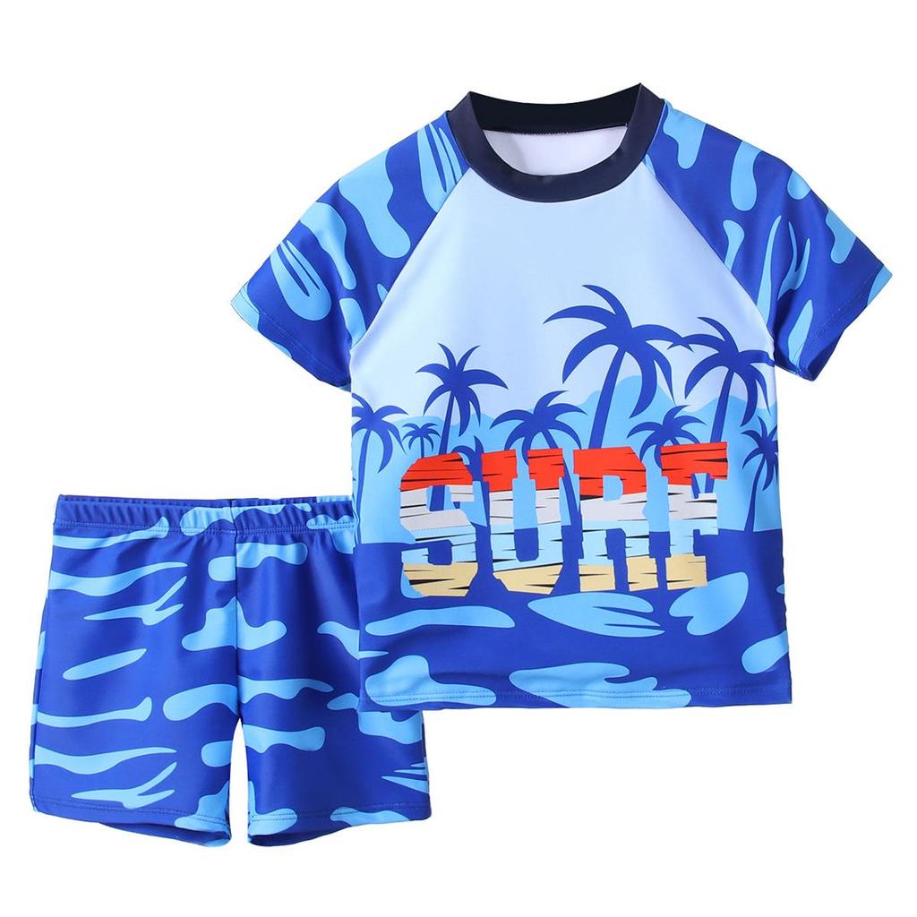 Boys' Two-Piece Quick-Dry Swimsuit with Coconut Tree Cartoon, 2025