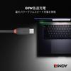 LINDY BLACK LINE USB Gen 2x2 Cable 0.5m 3.2 Type-C (Model Number 36905)