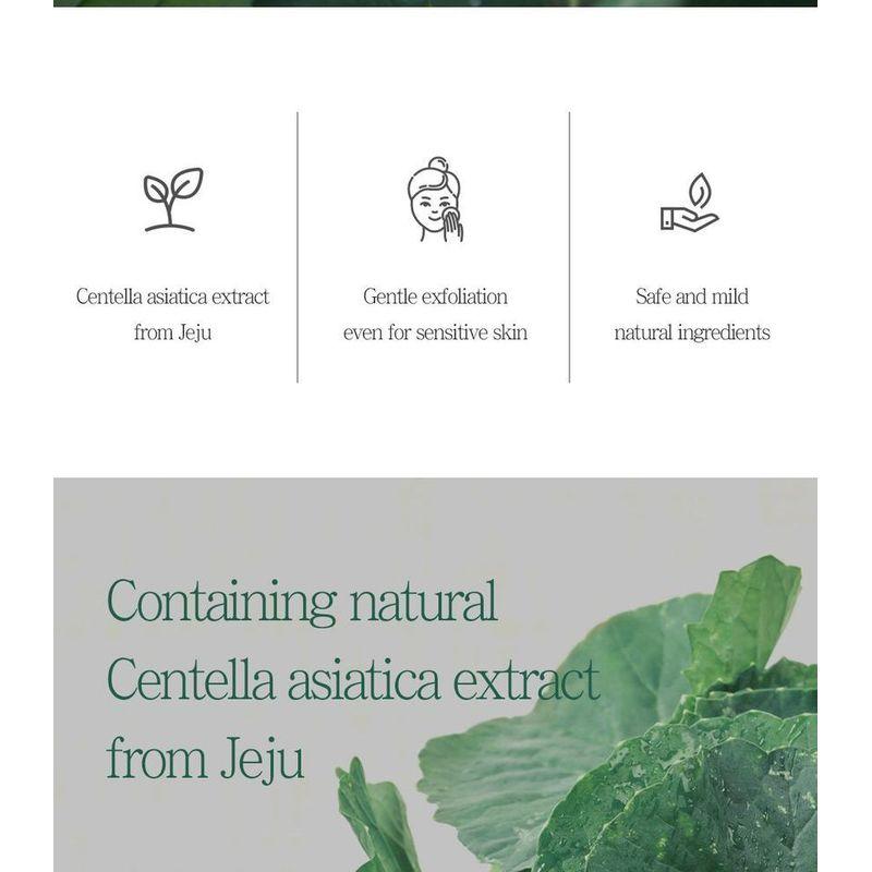 Pretty Skin - The Pure Jeju Cica Cleansing Foam