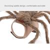 Cats Dog Funny Spider Cosplay Animal Costume Arachnid Soft Comfortable Costume Accessories Dress Up