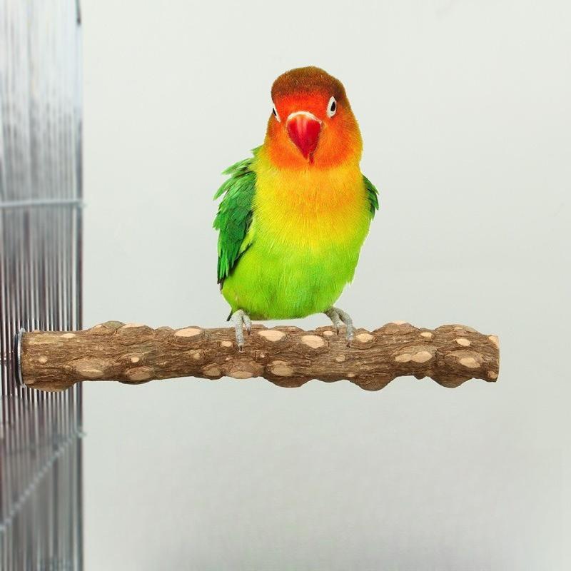 Papageienpfeffer Holzstation Stange Krallenkratzstab Aststation Ast Papageienstation Gestell Holz Vogelspielzeug Zubehör Papageienstation Ast