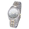 SEIKO SUR377P1 SUR377P Essentials Collection Classic Date Titanium Green Gold Silver Wrist Watch For Men
